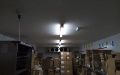 Limpieza y desinfección de las cámaras frigoríficas